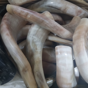 เขาแกะธรรมชาติขัดเงา ชอฟาร์ ของตกแต่งบ้านทางศาสนา เป็นมิตรกับสิ่งแวดล้อม คุณภาพสูง - Product Image 1