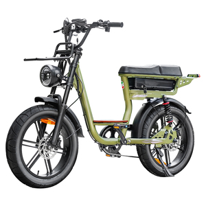 Bicicleta Eléctrica de Montaña QMWHEEL Fatbike C28, 48V 15.6AH, 20 Pulgadas, Doble Suspensión, Motor de 250W, Bicicleta Eléctrica con Llantas Gruesas para Adultos, para Desplazamientos Urbanos - Product Image 2