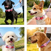 Schattig fruitdecoratie aanpasbare siliconen hondenhalsband waterdicht verstelbaar verwisselbare bedels hondenhalsband voor kleine en middelgrote honden