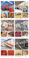 Automatische Elektrische Bierbrouwafval Banddroger 70 T/D Continue Brouwerij Afvalkorrel Perzikafval Banddroogmachine ShouChuang