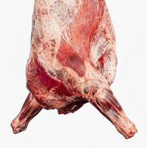 Carcasse de bœuf congelée de qualité supérieure, certifiée Halal, exportateur en gros, marque pour la transformation alimentaire, durée de conservation de 24 mois - Product Image 5