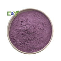 Approvisionnement direct usine : Poudre de prune 100 % pure et naturelle, poudre de jus de prune, poudre de fruits de prune
