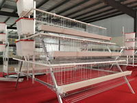 Cage à poules pondeuses de type A à 4 niveaux pour 300 oiseaux, avec système d'alimentation automatique et convoyeur à œufs à bande, revêtement en zinc durable.