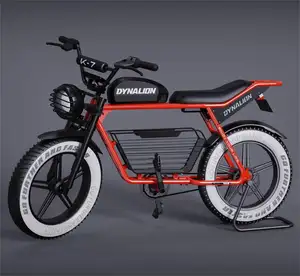 Ucuz fiyat 48V 750W 1000W alüminyum alaşım Retro Ebike yağ lastik dağ elektrikli bisiklet