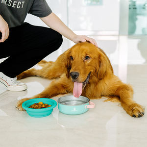 Evcil üretici paslanmaz çelik silikon katlanabilir 2 in 1 kaymaz köpek kase Pet besleyici 52oz 30oz - Product Image 6