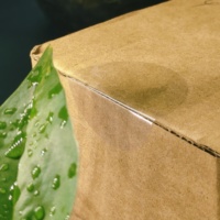 Autocollants en vinyle transparent pour l'emballage alimentaire, étiquettes d'étanchéité de boîte imperméables, support d'impression de logo personnalisé, autocollants transparents