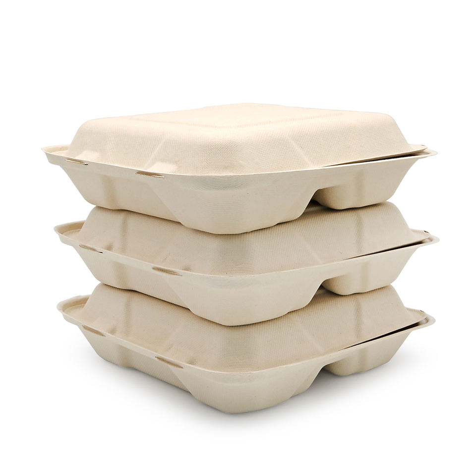 Sugarcane Bagasse Pulp 100% Biodegradable Disposable Take Away Bagasse ...