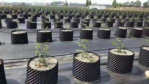 Pot pangkas udara plastik, Pot pembibitan buah sayuran taman Pot tanam sendiri - Product Image 6