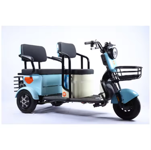 Motocyclette électrique à trois <span class=keywords><strong>roues</strong></span> à carrosserie ouverte personnalisée en gros 800W moteur batterie au plomb-acide homologuée pour l'exportation - Product Image 4