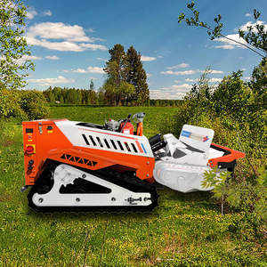 Fabbrica su misura motore a benzina Diesel grande tosaerba Robot telecomando tosaerba 800mm coltivatori - Product Image 4