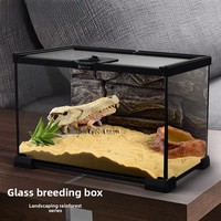 Aquarium de forêt tropicale, réservoir d'élevage écologique pour lézard, tortue, bernard-l'ermite, animal grimpant, boîte d'élevage en verre