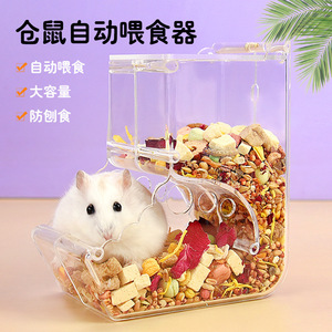 Cuenco de acrílico para comida de hámster, alimentación automática de gran capacidad con diseño de corazón para mascotas pequeñas - Product Image 5
