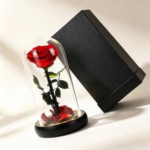 Rosa Natural Preservada, Rosa Eterna de Larga Duración para el Día de San Valentín, Bodas, Cumpleaños, Decoración del Hogar, Regalo - Product Image 4