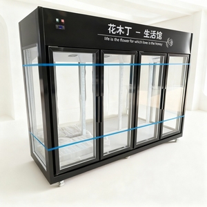 <span class=keywords><strong>Refrigerador</strong></span> Comercial para Exhibición de Flores, Enfriado por Aire, Especializado para Floristerías, Enfriador Viral para Conservación de Flores Frescas - Product Image 6