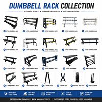 Support de rangement pour haltères à 2 niveaux, 6 paires, en acier, en forme de A, robuste, avec revêtement en poudre, organisateur pour salle de sport commerciale ou à domicile, OEM