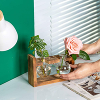 Décoration intérieure pour la maison, station de propagation de plantes aériennes en verre, pot hydroponique, vase à bulbes de fleurs, écologique
