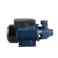 Pompe à eau électrique auxiliaire, 0.5hp, QB60, pour le jardin