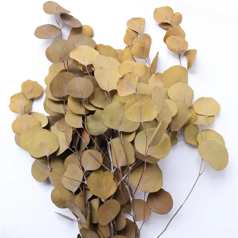 Preserved Eucalyptus Bush Tree Leaves Garland Artificial Wreath Flowers Dried Eucalyptus Stems