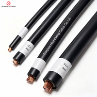 Kabel Pompa Submersible Kelas Industri Kelautan JHS Berisolasi EPR 450/750V dengan Fleksibilitas Tinggi