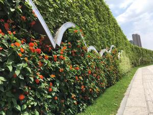 Panel de Jardín Vertical, Jardinera de Pared Verde, Plástico Modular, Ecológico, Duradero, Ligero, con Orificio de Drenaje - Product Image 6