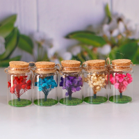 Bunga Gypsophila Alami Awet dalam Botol Kaca Mini, Pohon Baby's Breath Abadi untuk Souvenir Pernikahan, Dekorasi Rumah