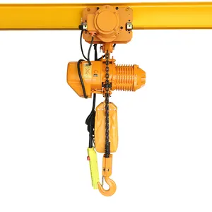 Low Price Fixed Hook Type Chain Hoist Electric Chain Hoist 1 Ton 3 M For Lifting Heavy Objects