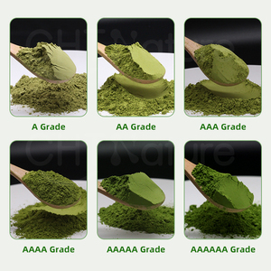 CHTNature suministra té <span class=keywords><strong>verde</strong></span> de <span class=keywords><strong>Matcha</strong></span> orgánico OEM a granel de alta calidad 1A 2A 3A 4A 5A 6A polvo de <span class=keywords><strong>Matcha</strong></span> de grado - Product Image 2