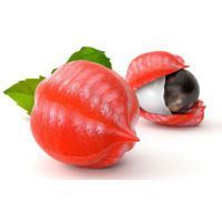 Ciyuan Factory Supplier Guarana <strong>Extract</strong> Powder/Paullinia Cupana Seed <strong>Extract</strong> - Product Image 6
