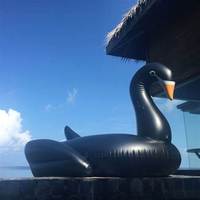 Black Swan Ride-On Pool Float Island pour enfants et adultes Forme d'oie gonflable en PVC