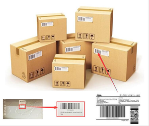 Acquario Ultra-Trasparente da 60 Galloni 5-in-1 e 3-in-1 per Piante Acquatiche, Set per Tartarughe di Piccole Dimensioni, Acquario Paesaggistico - Product Image 6