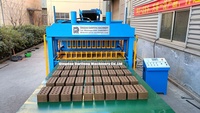 DF10-10 machine de fabrication de briques d'argile brûlée rouge entièrement automatique Prix au Sri Lanka