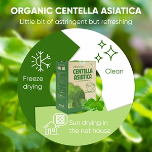 Té Herbal Puro Premium de Centella Asiática Seca 2G en Caja, Apoya la Belleza de la Piel y Reduce el Acné, Marca NMPT, Phu Tho, Vietnam - Product Image 2