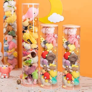 Custom Transparent PET Doll Plush Toy High Quality Waterproof and Dustproof Storage <b>Box</b> - Product Image 1