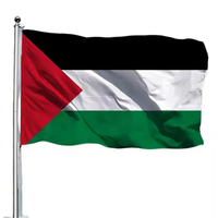 Drapeau des pays 3X5FT Polyester Imprimé Drapeau de la Palestine