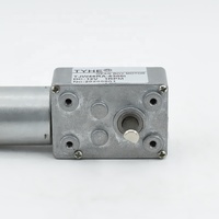 Moteur à vis sans fin CC TYHE personnalisé 46*32mm 12V à montage sur bride, mini, faible puissance 1-3W, couple élevé 5Nm, 100-200 tr/min, pour appareils électroménagers, certifié CE