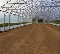 Serre tunnel agricole à simple travée à faible coût pour la culture de légumes