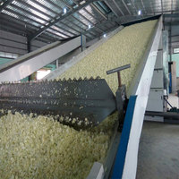 Industriële Rode Peper Kruiden Fruit Dehydrator Chili Pistachenoten Macadamia Noten Droogmachine Continue Meerlaagse Riem Droger