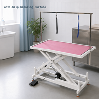 Table de toilettage pour animaux électrique hydraulique, réglable en hauteur, avec bras de toilettage, surface antidérapante et imperméable