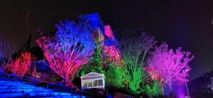 Ip65 Outdoor Dyeing Tree Lamp With <b>Color</b> <b>Changing</b> Effect For Theme Parks And Events - Product Image 1