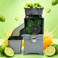 100W Calamansi Citroen Kumquat Sapcentrifuge Commerciële Elektrische Automatische Citruspers Sinaasappelpers Machine Sap Extractor