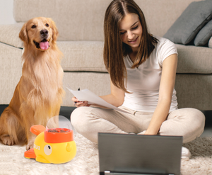 Köpekler kediler için taşınabilir otomatik gıda dağıtıcı ördekler interaktif Pet oyuncak seyahat kullanımı için şişe şeklinde dayanıklı plastikten yapılmış - Product Image 4