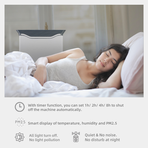 HOMEFISH Tuya Wifi Smart App contrôle chine purificateur d'air domestique multifonctionnel grand Commercial à vendre - Product Image 6