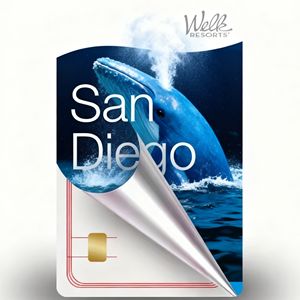 Mini Etiqueta Desechable de PVC <span class=keywords><strong>2026</strong></span>, 13.56MHz, Tarjeta de Negocios para Hotel, Interfaz de Comunicación NFC 1k, Control de Acceso a Puertas, Clásica, Impermeable - Product Image 5