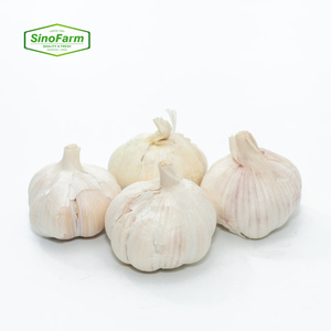 <span class=keywords><strong>Ail</strong></span> frais biologique standard, petits paquets de 3/5 pièces, tressé, pour les chaînes de distribution au détail - Product Image 1