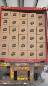 Papel Higiénico Desechable Antibacterial <span class=keywords><strong>de</strong></span> Pulpa <span class=keywords><strong>de</strong></span> Bambú, Suave, <span class=keywords><strong>de</strong></span> Buena Calidad y Resistente - Product Image 6