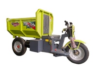Tricycle électrique à batterie au lithium Camion à benne basculante hydraulique à usage intensif pour ferme d'usine
