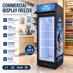Congélateur vertical vitré pour confiseries congelées de type Food Hall à -24°C ° C - Product Image 6
