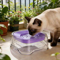 Bol à eau pour animaux de compagnie avec structure flottante à disque flottant, pour chat et chien