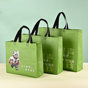 Vietnam factory PP White <b>Woven</b> Tote <b>Bag</b> Custom Design Foldable Shopping Non <b>Woven</b> <b>Bags</b> - Product Image 3