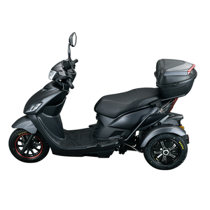 Motocicleta y Scooter Eléctrico de 3 Ruedas 2026, 1000W, Motor Doble sin Escobillas, Aleación de Aluminio, Impermeable, 45km/h, para Adultos - Product Image 5
